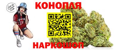 стаф Кунгур