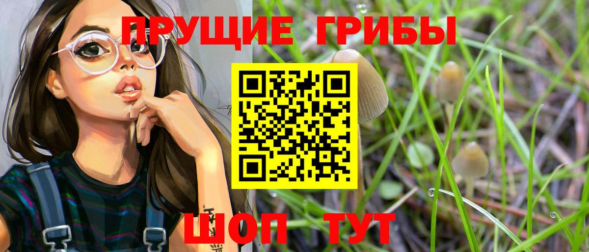 Вязьма  Псилоцибиновые грибы Cubensis  Вход с VPN  Галлюциногенные грибы Cubensis 