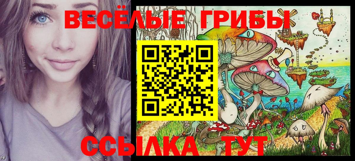 Псилоцибиновые грибы мицелий Вязьма